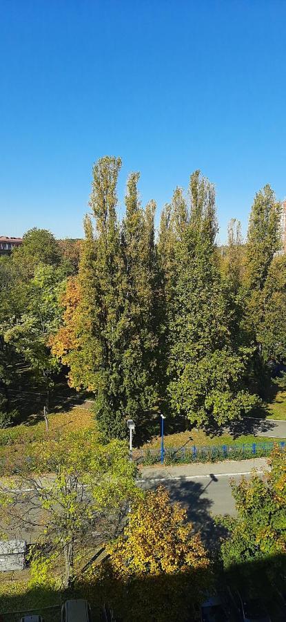 Apartment Student City, Wifi 300Mbs Beograd Eksteriør billede